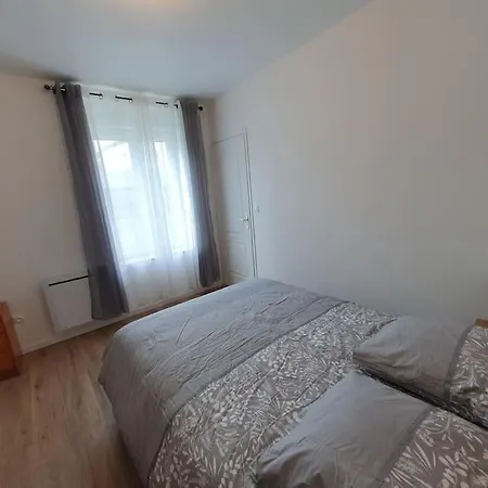 Jungle Lägenhet Nancy